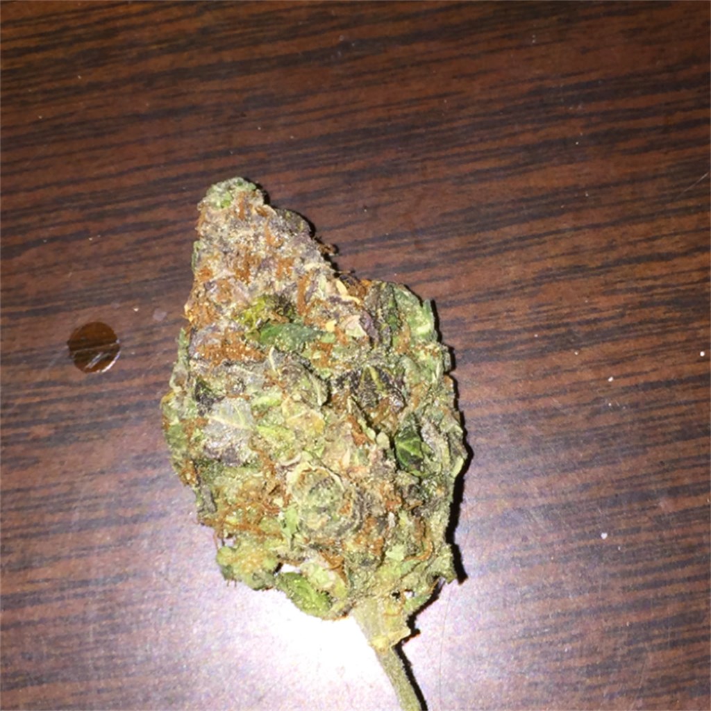 Cinderella 99
