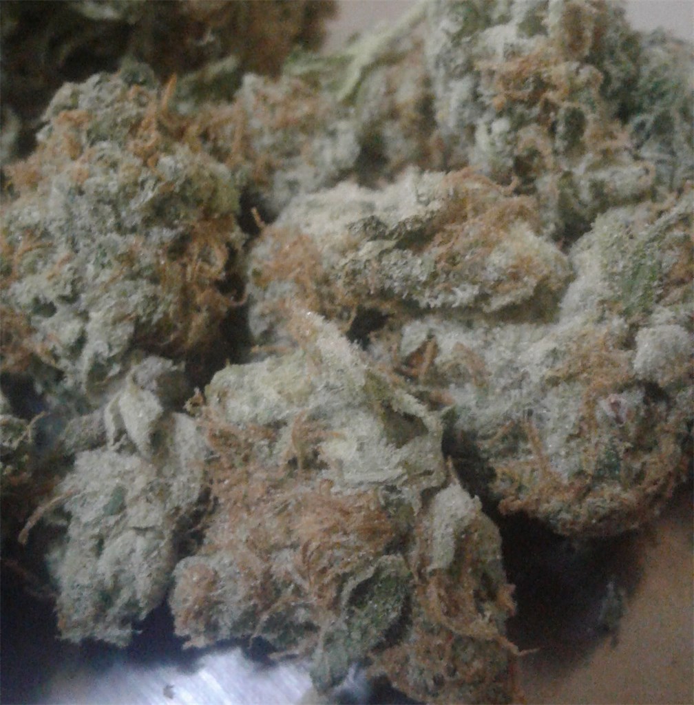 Cinderella's Dream