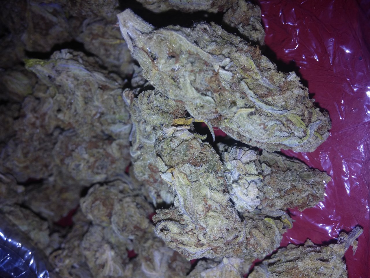 Cold Creek Kush