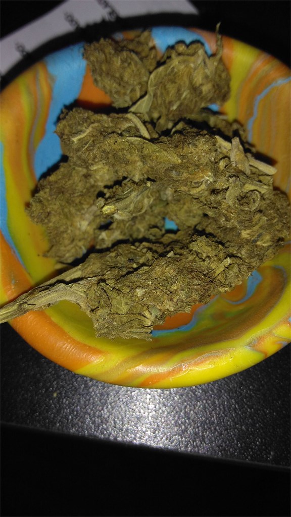 Foto de la variedad Colombian Gold