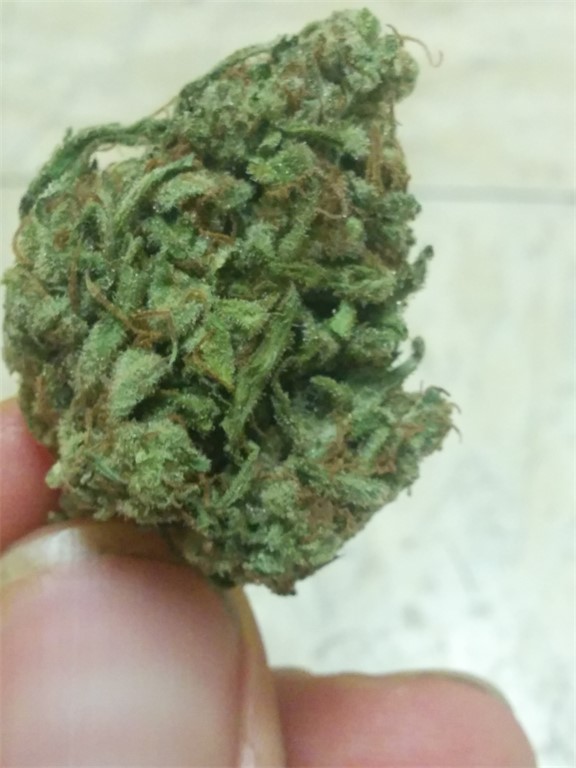 Colorado Bubba