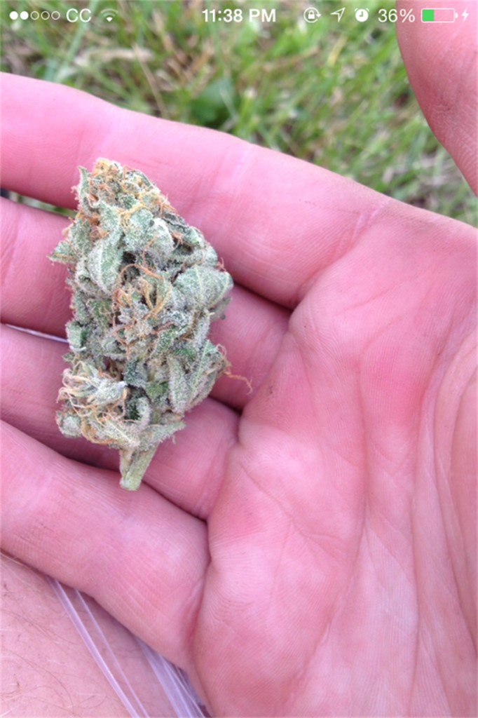Colorado Chem