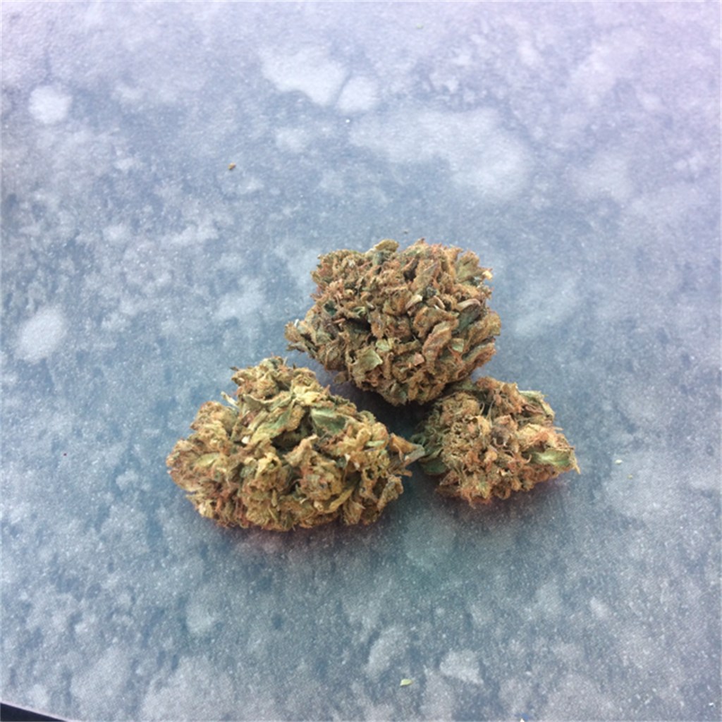 Foto de la variedad LA Cheese