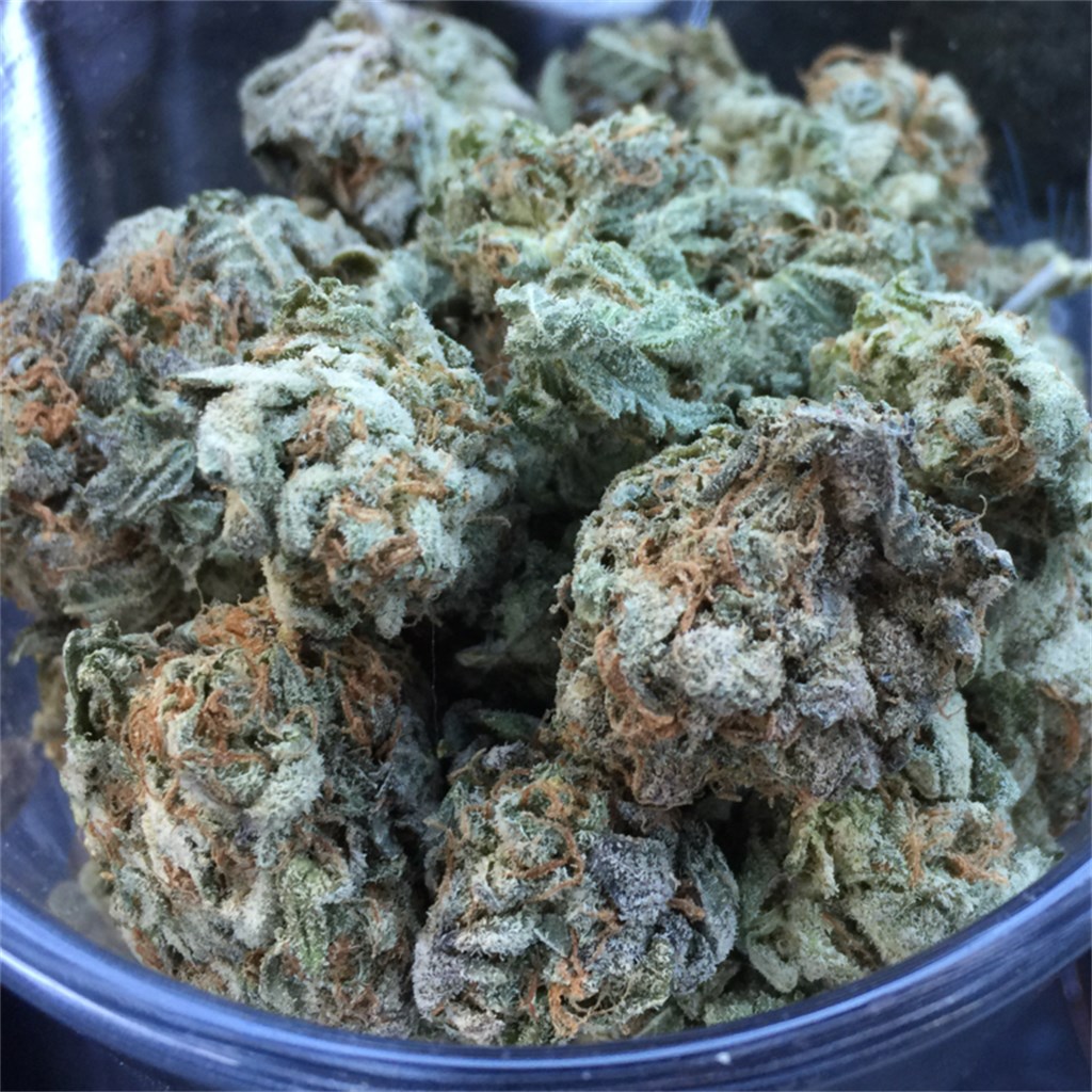 Foto de la variedad Cookie Dough