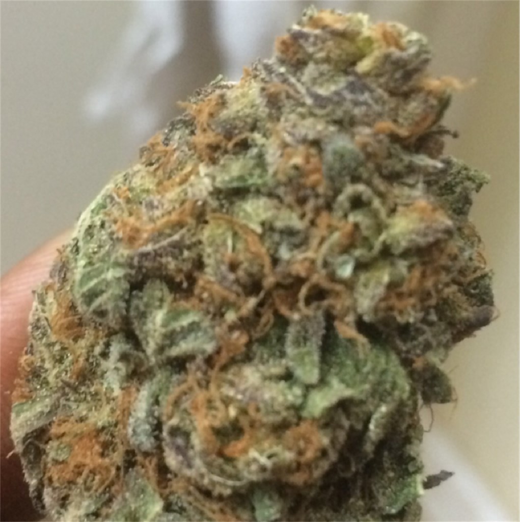 Cookie Monster