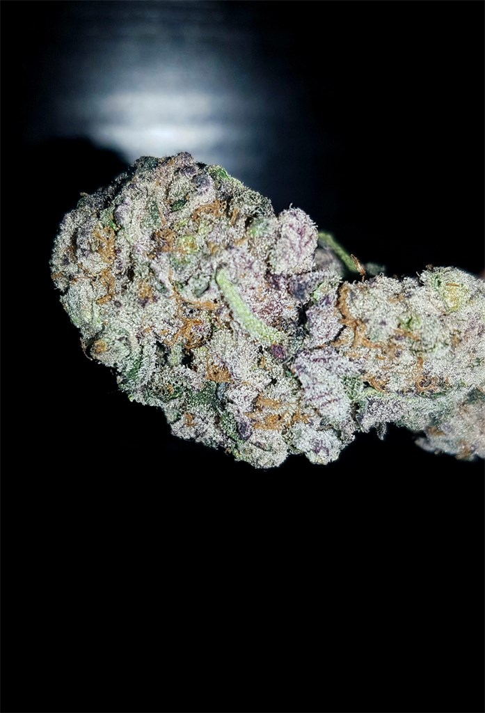 Cookie Wreck