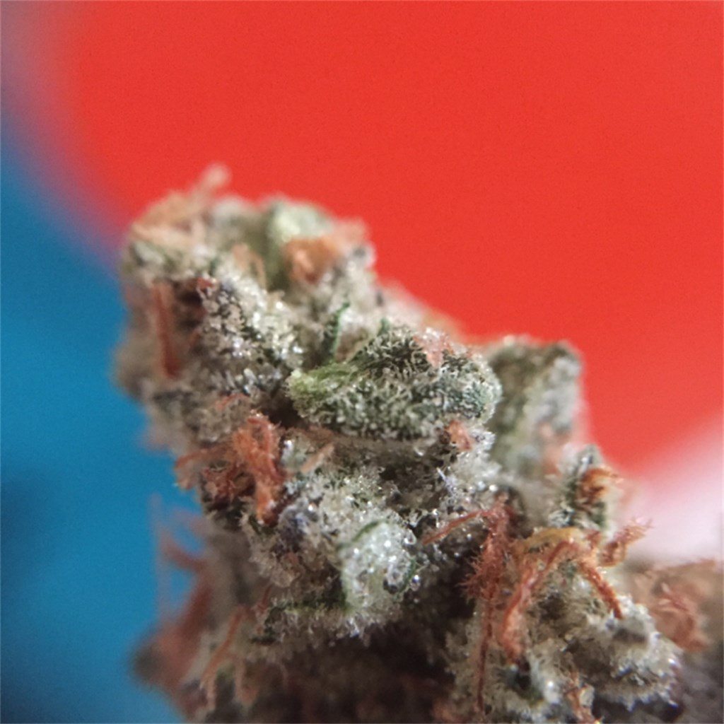 Cookie Wreck