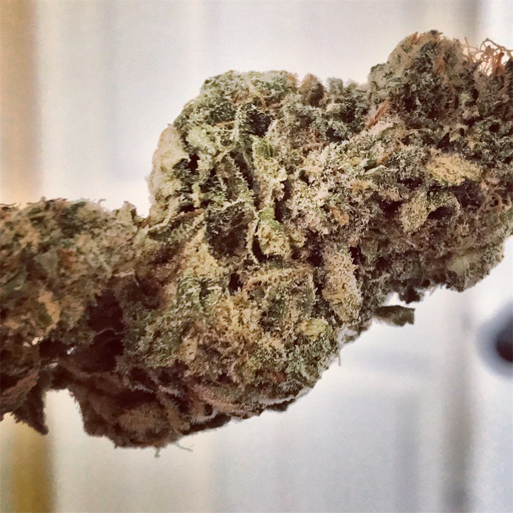 Cookies and Cream