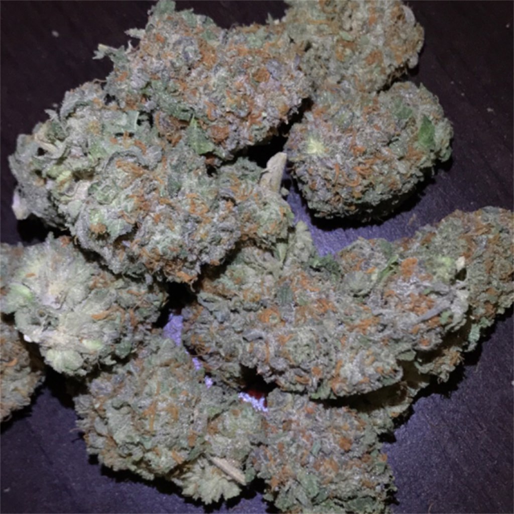 Foto de la variedad Cornbread
