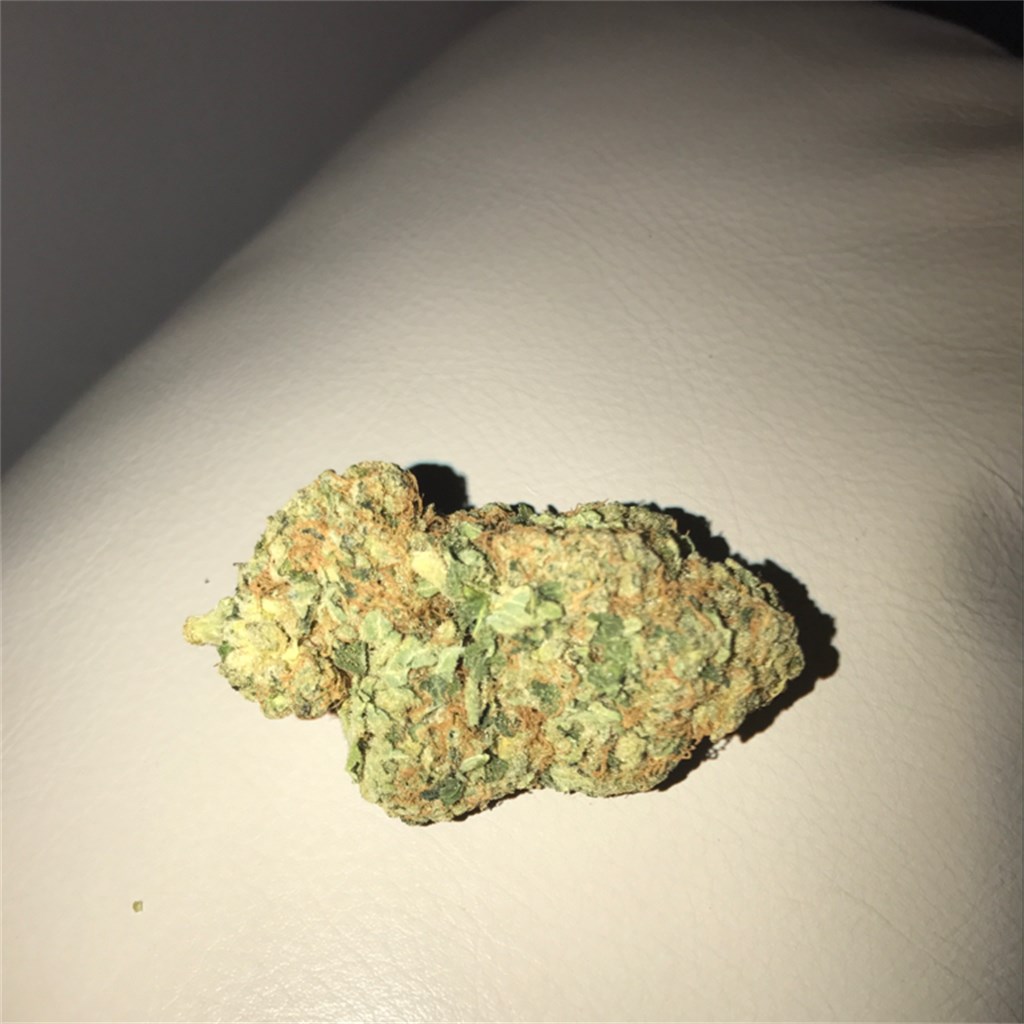 Foto de la variedad Cotton Candy