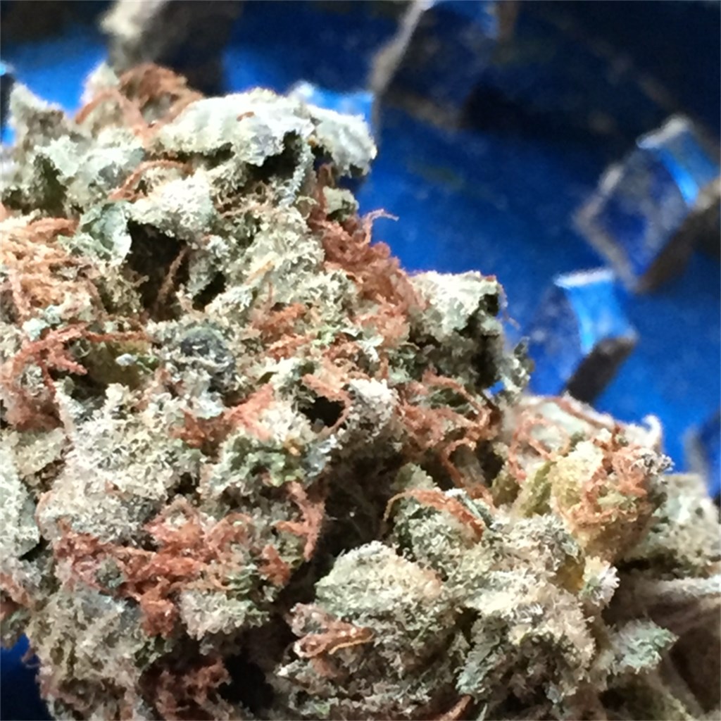 Foto de la variedad Cowboy Kush