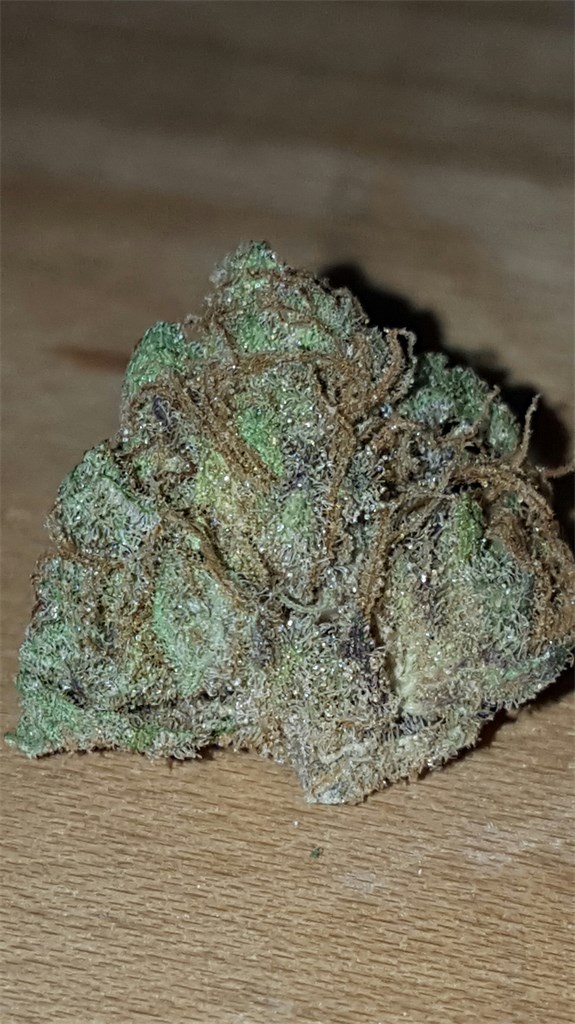 Foto de la variedad Crazy Miss Hyde