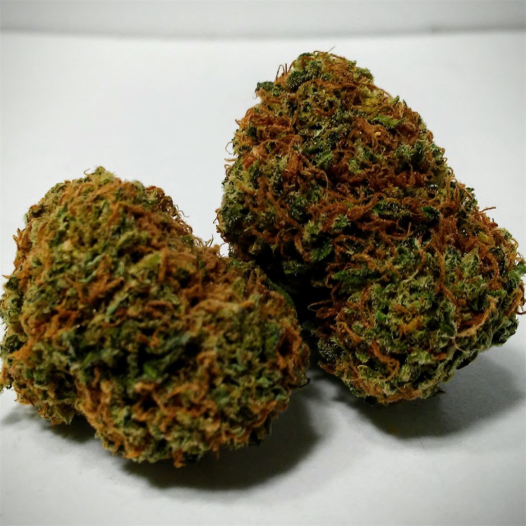 Foto de la variedad Critical Hog