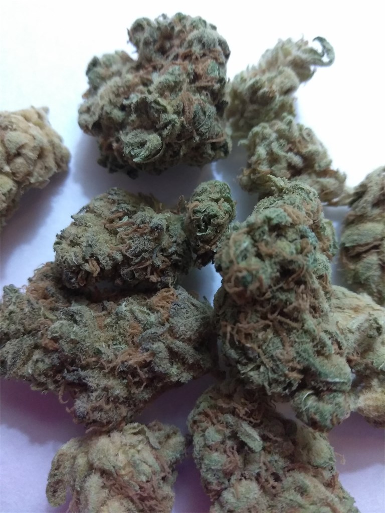 Critical Sensi Star