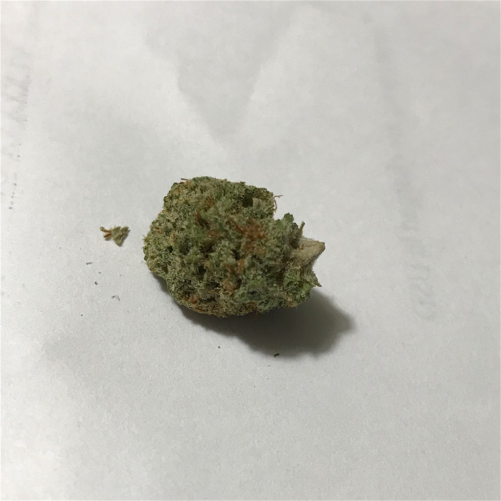 Foto de la variedad Dank Sinatra