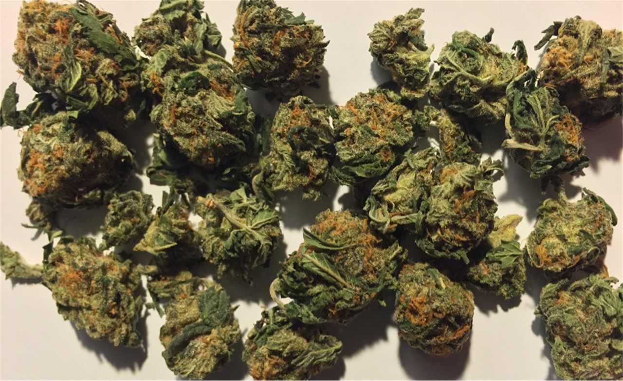 Foto de la variedad Double D