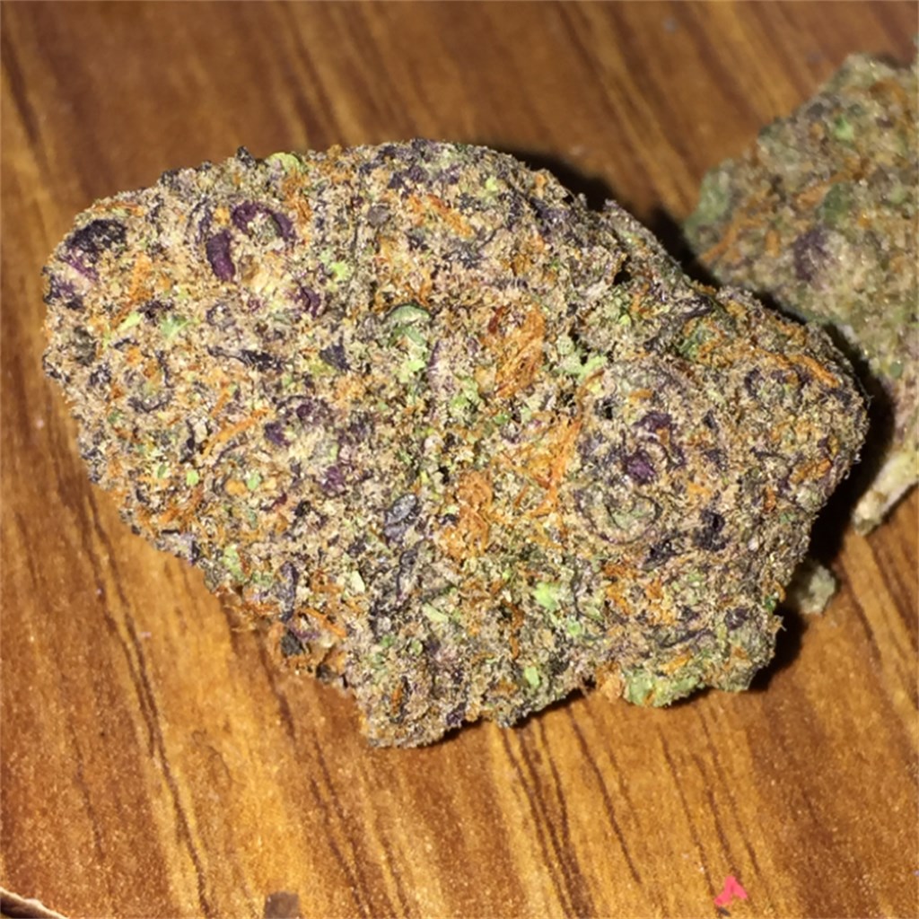 Foto de la variedad Dawgs Waltz