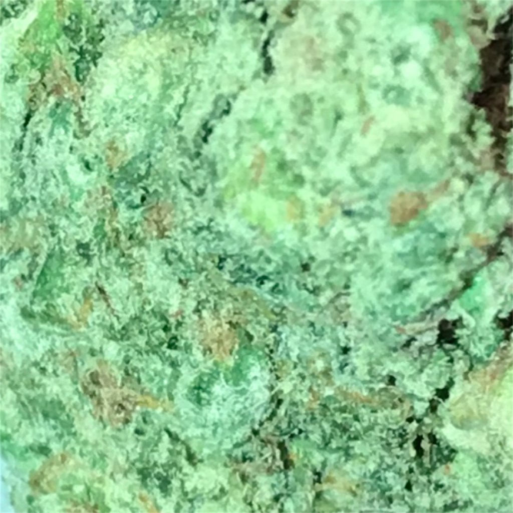 Foto de la variedad Deathstar