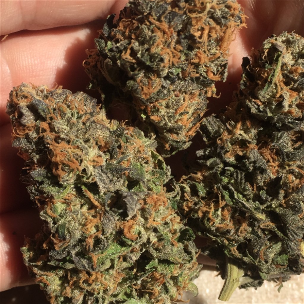 Foto de la variedad Deep Chunk