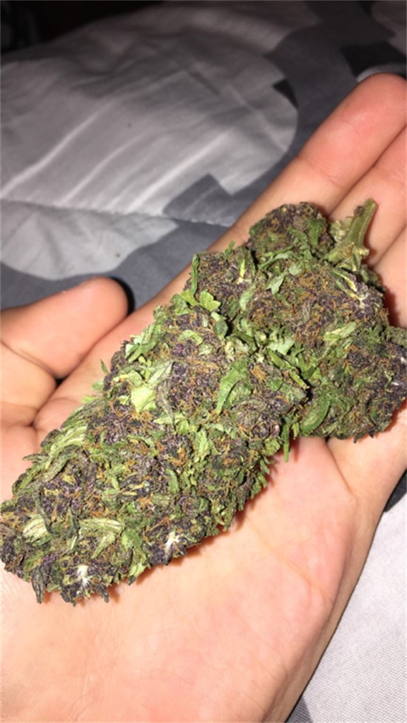 Deep Purple