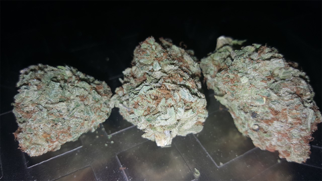 Foto de la variedad Devil Fruit