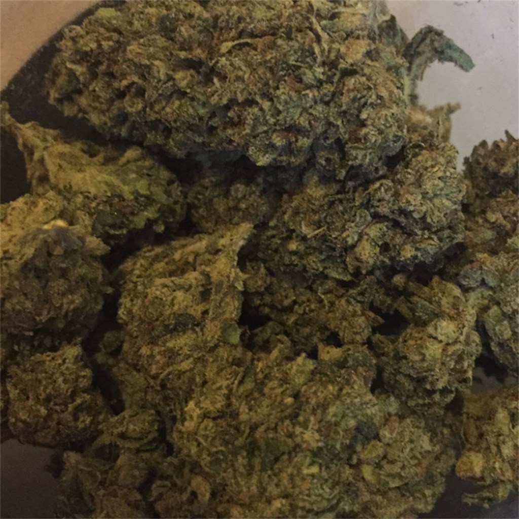 Foto de la variedad Diablo