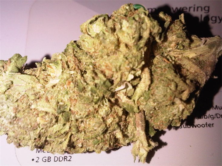 Diesel Duff