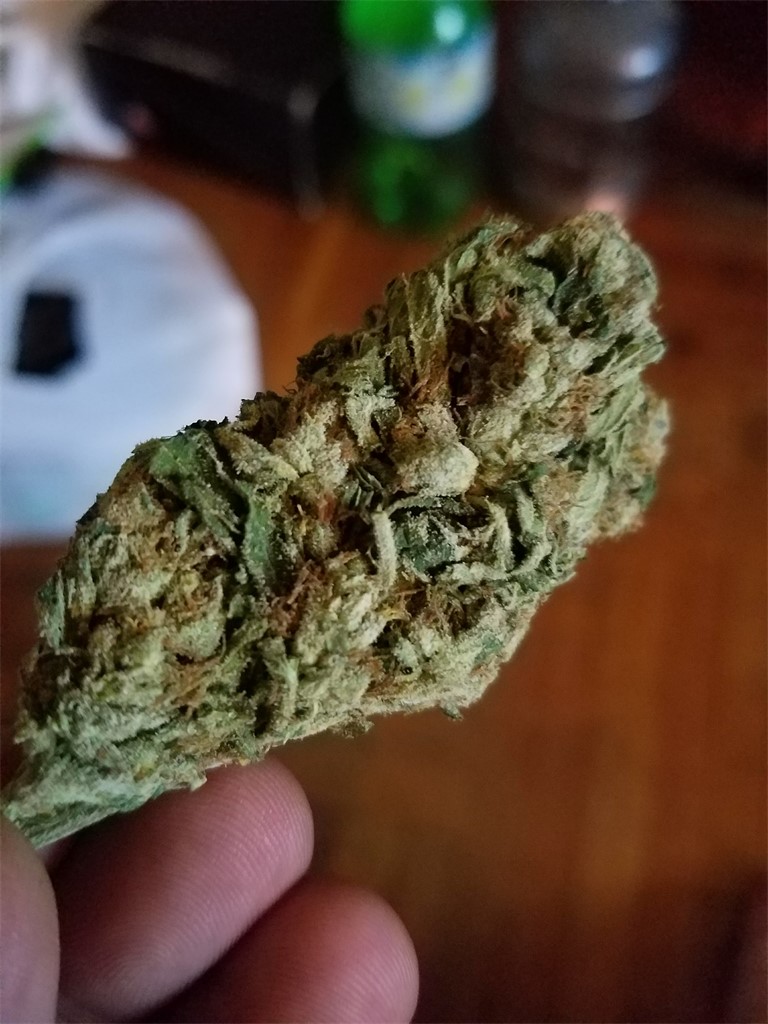 Do-Over OG