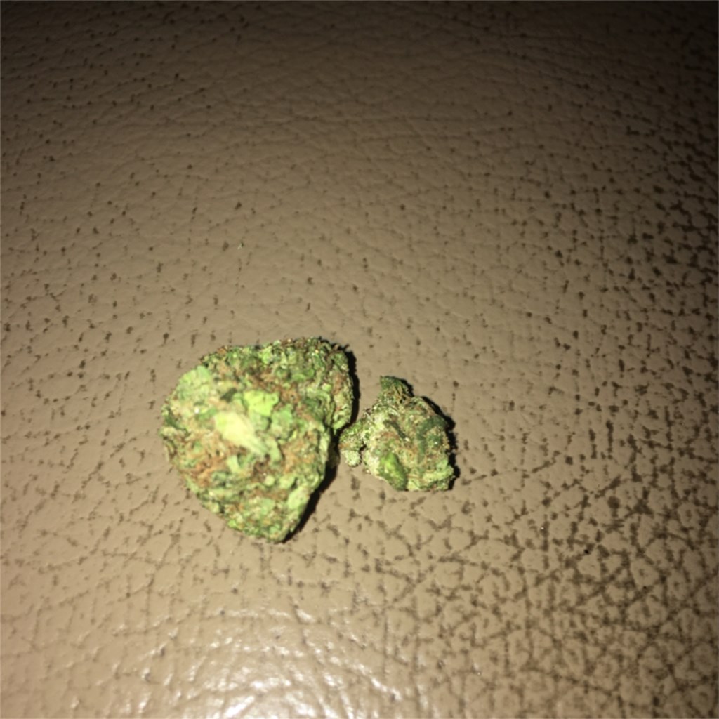 Dolla Sign Og Kush