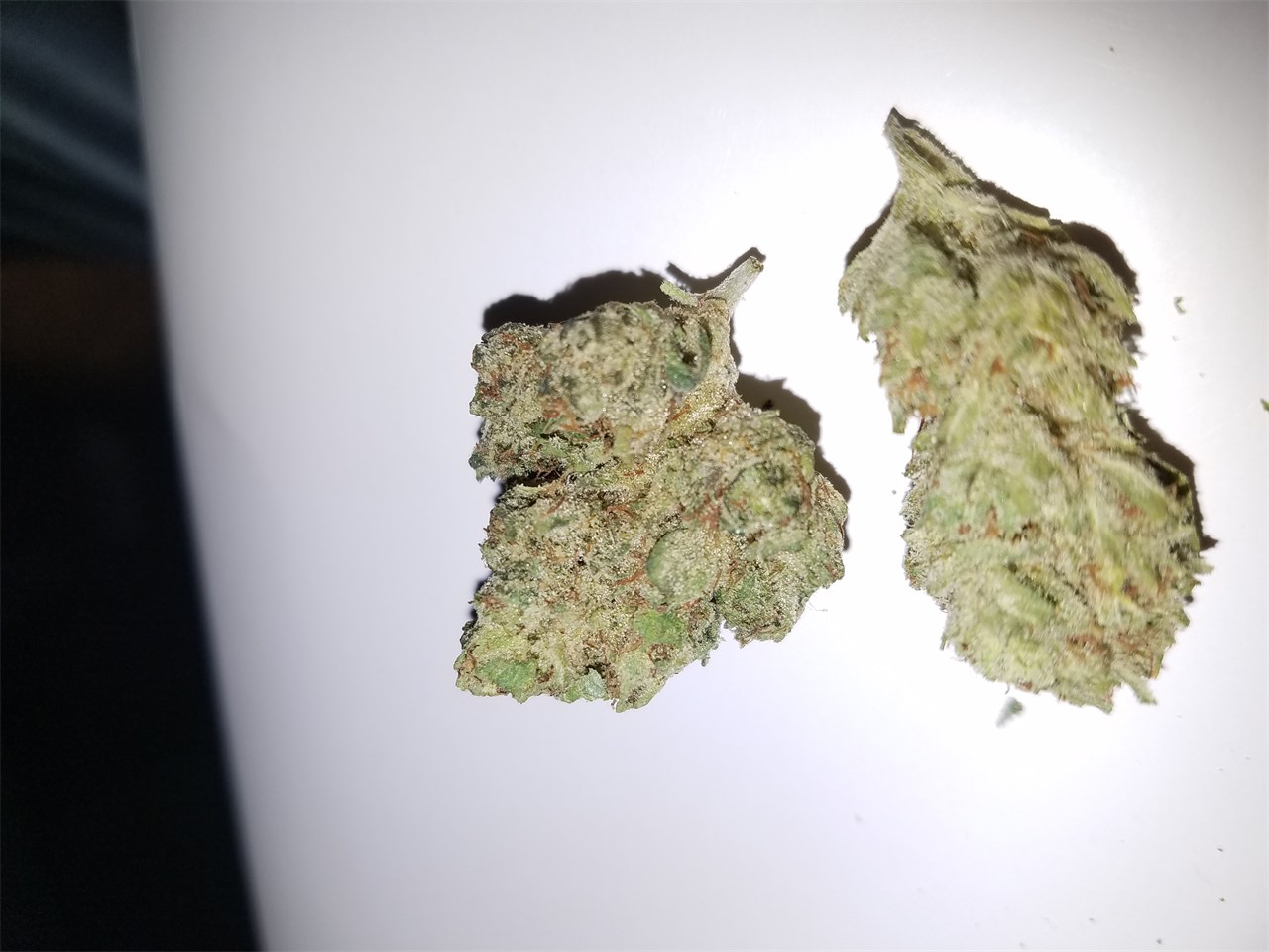 Foto de la variedad Double Mint