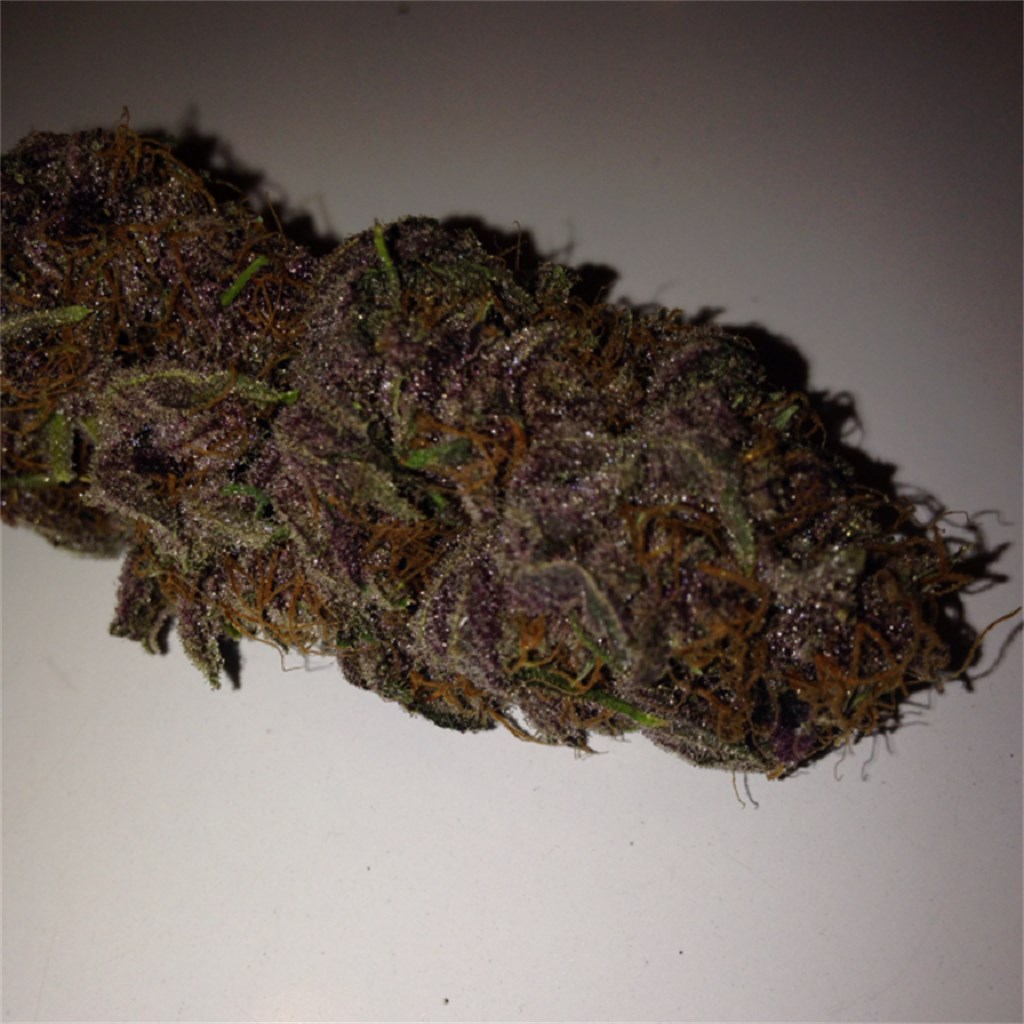 Foto de la variedad Double Purple Doja