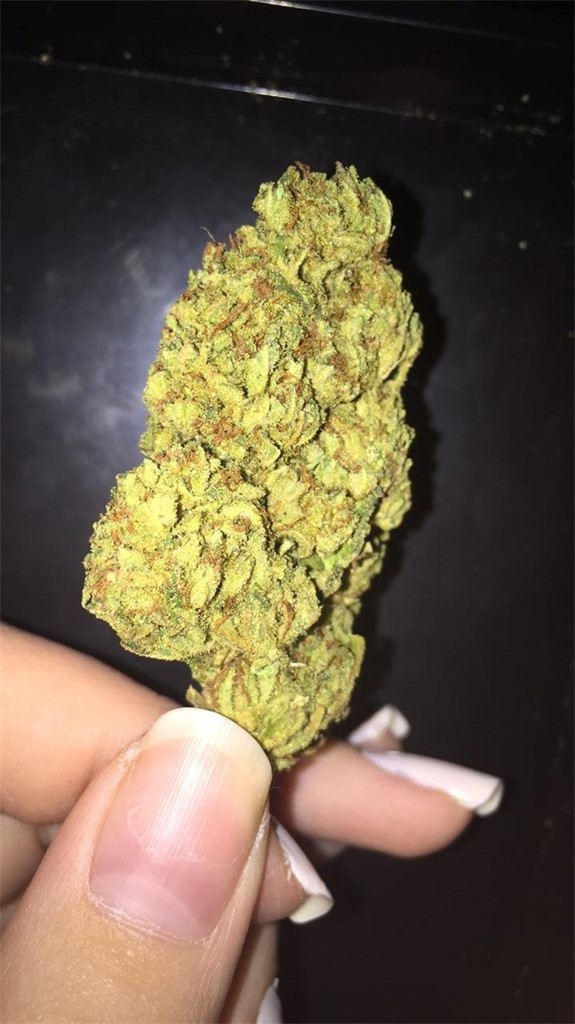Foto de la variedad Dream Berry