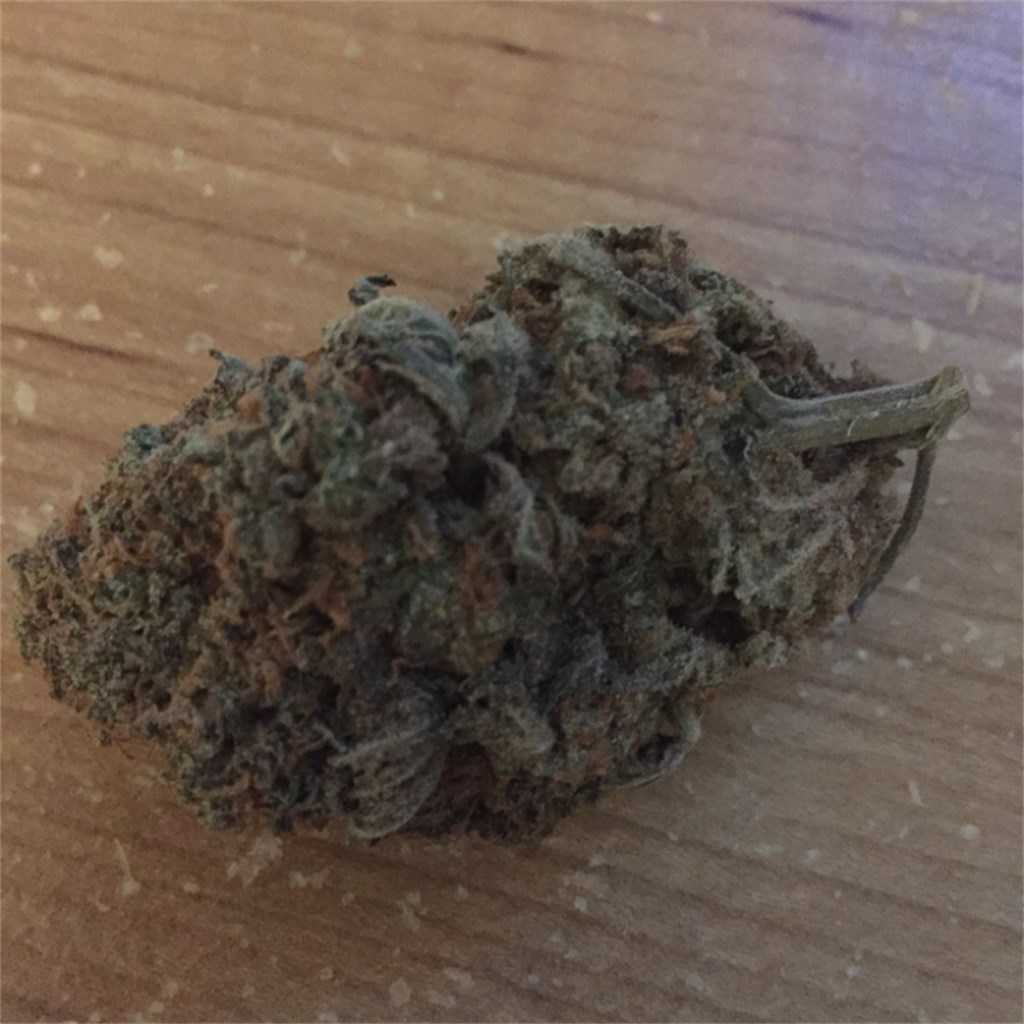 Foto de la variedad NUKEM