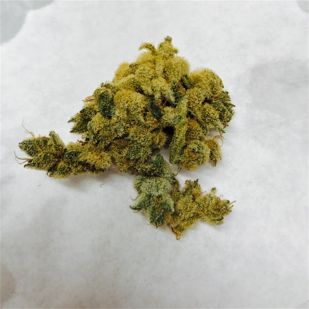 Dutch Hawaiian