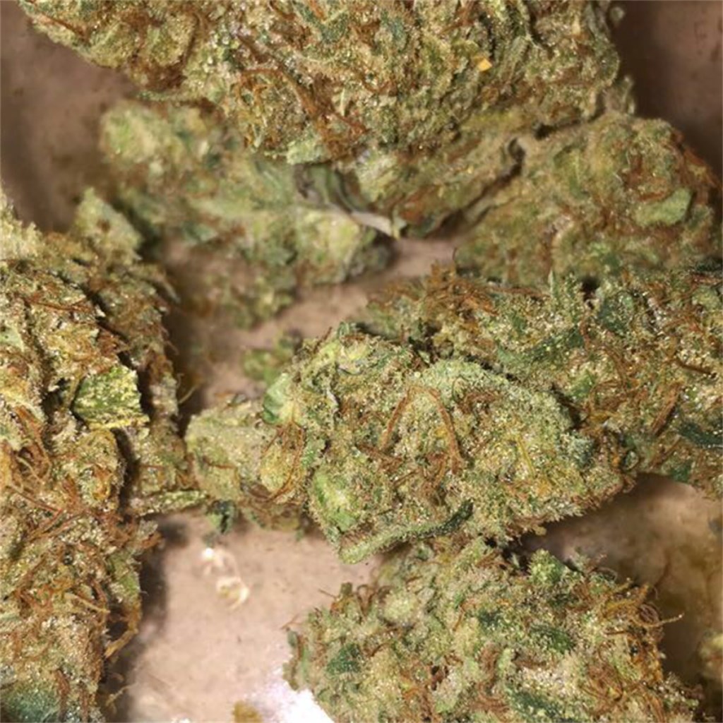Dutch Treat Haze