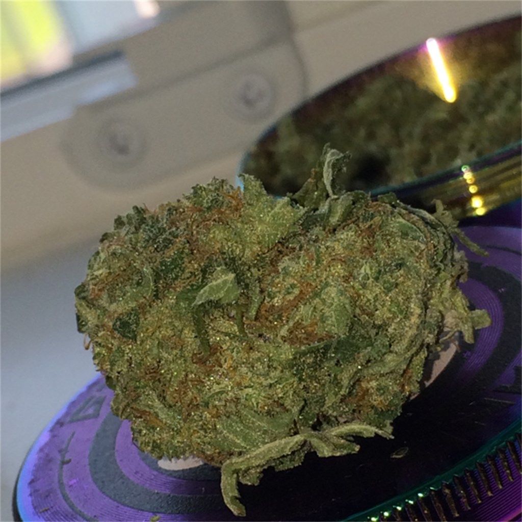 Dutchberry