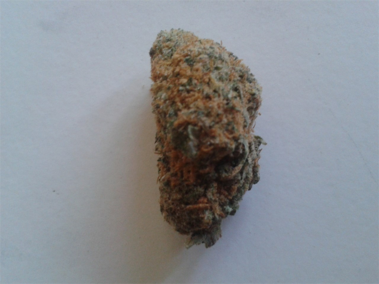 Foto de la variedad Dynamite