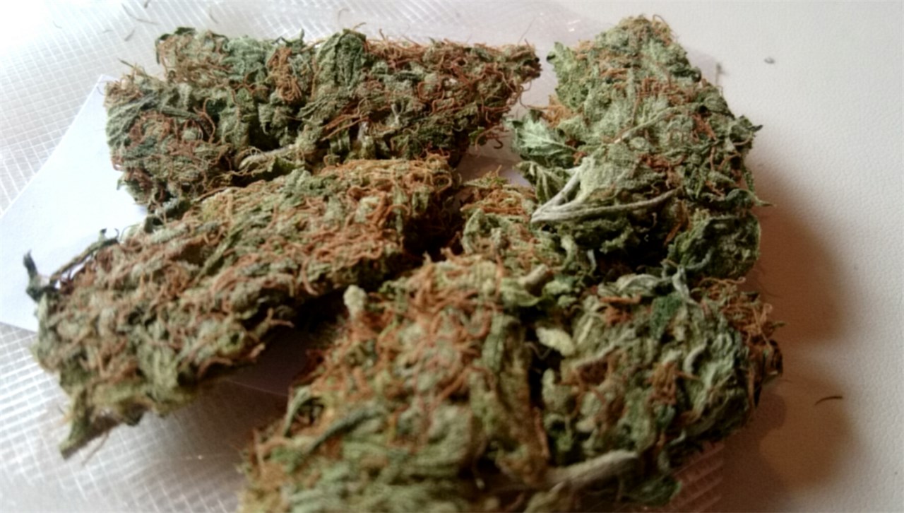 Foto de la variedad Early Skunk