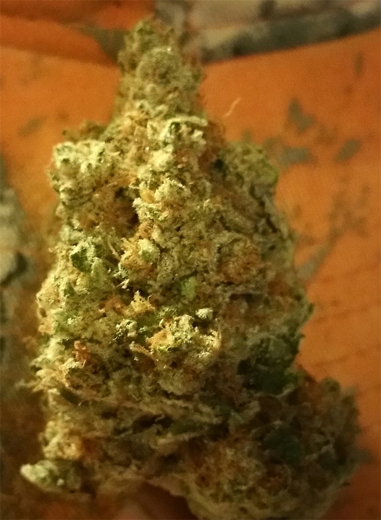 Earthshaker OG