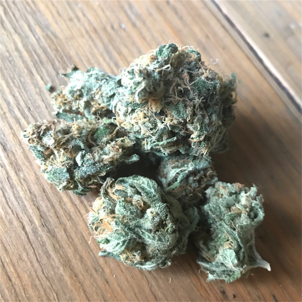 Foto de la variedad Edelweiss