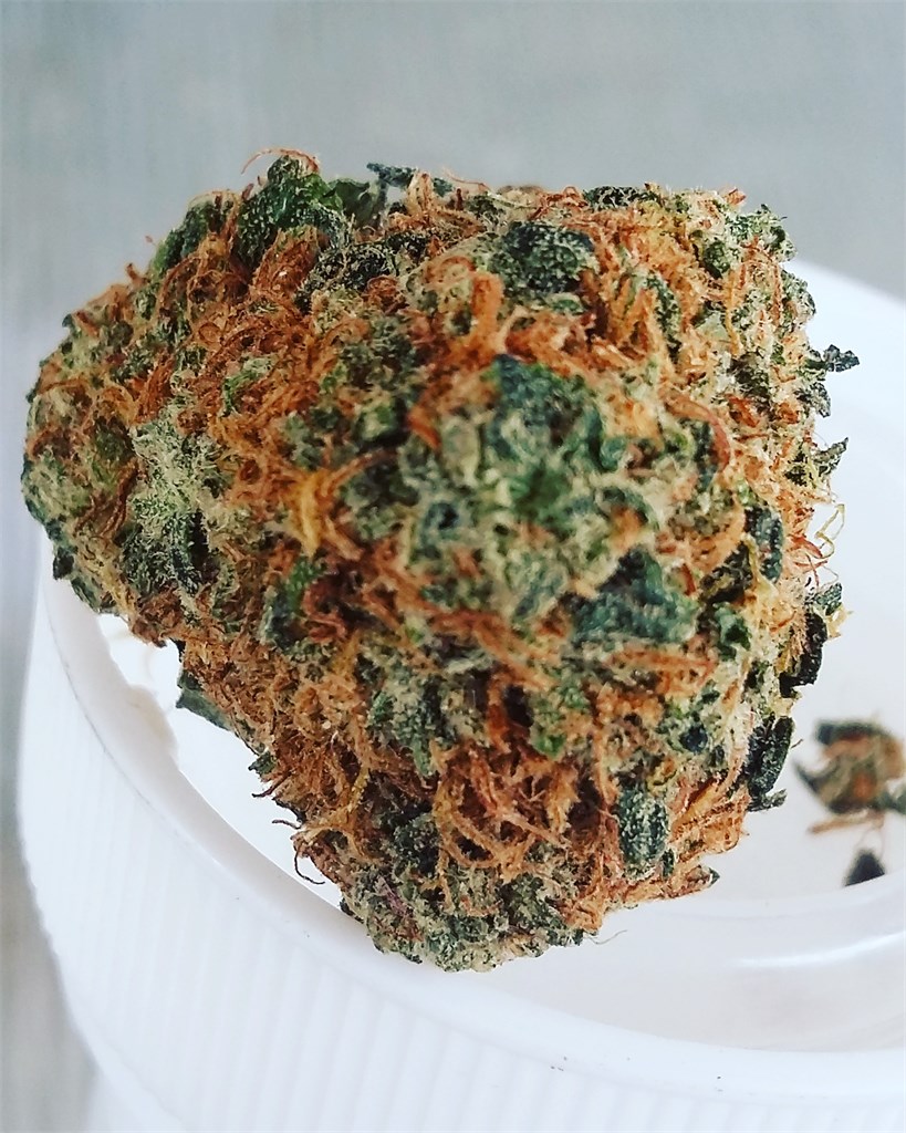 El Chapo OG