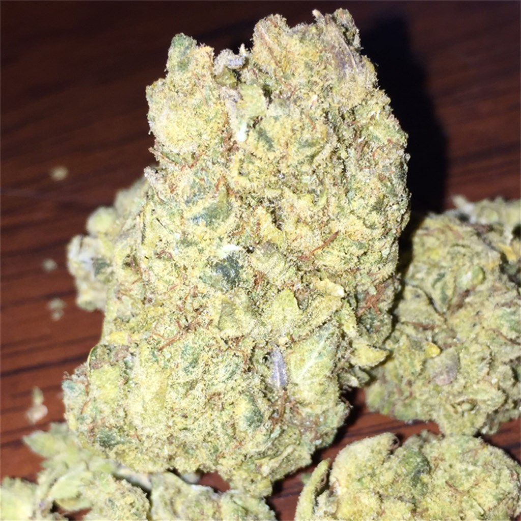 Elmer's Glue