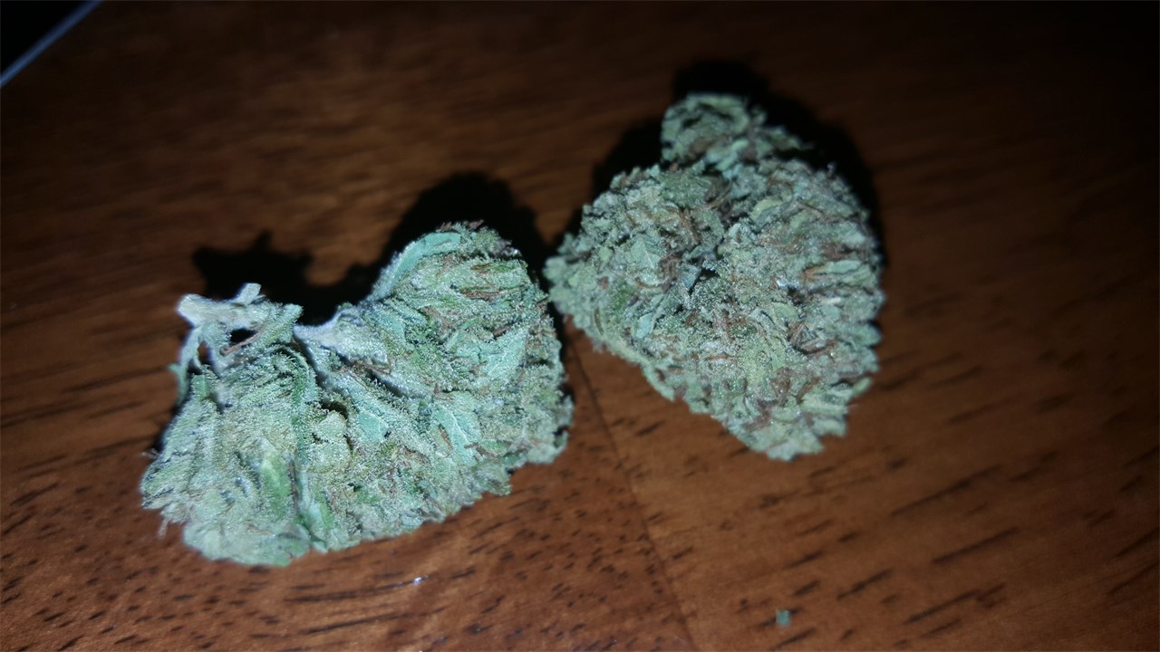 Foto de la variedad Emerald Jack