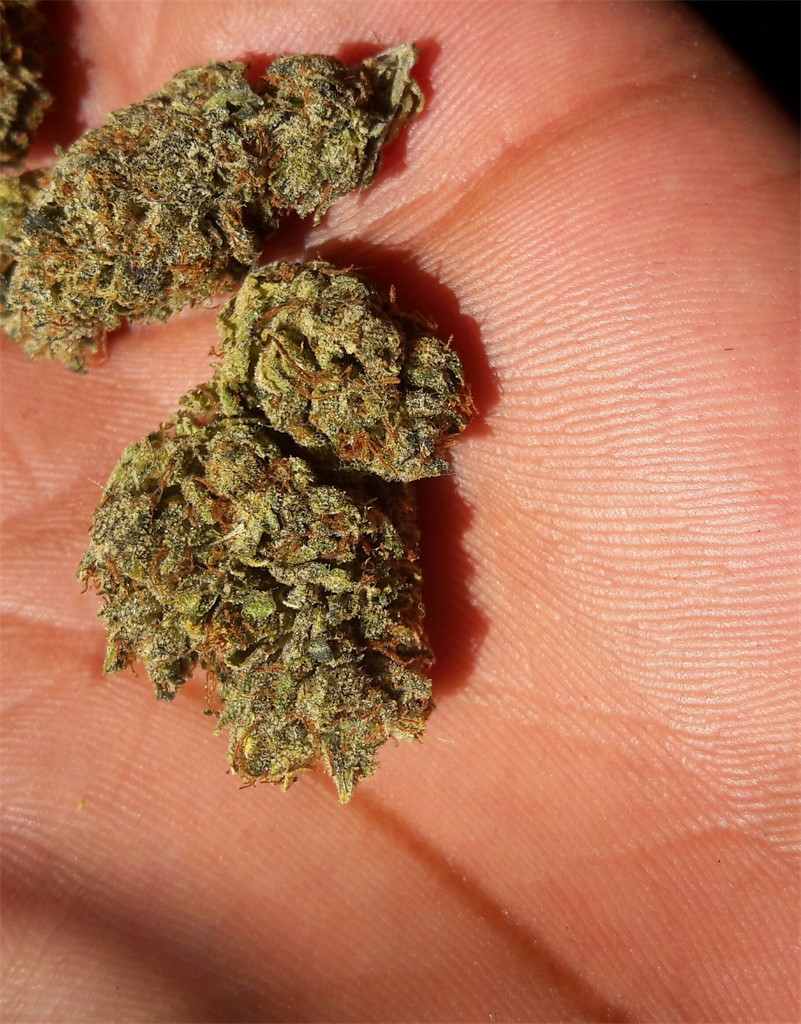 Emerald OG