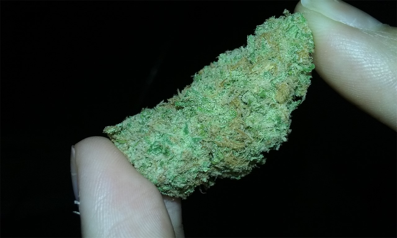 Eugene Cream