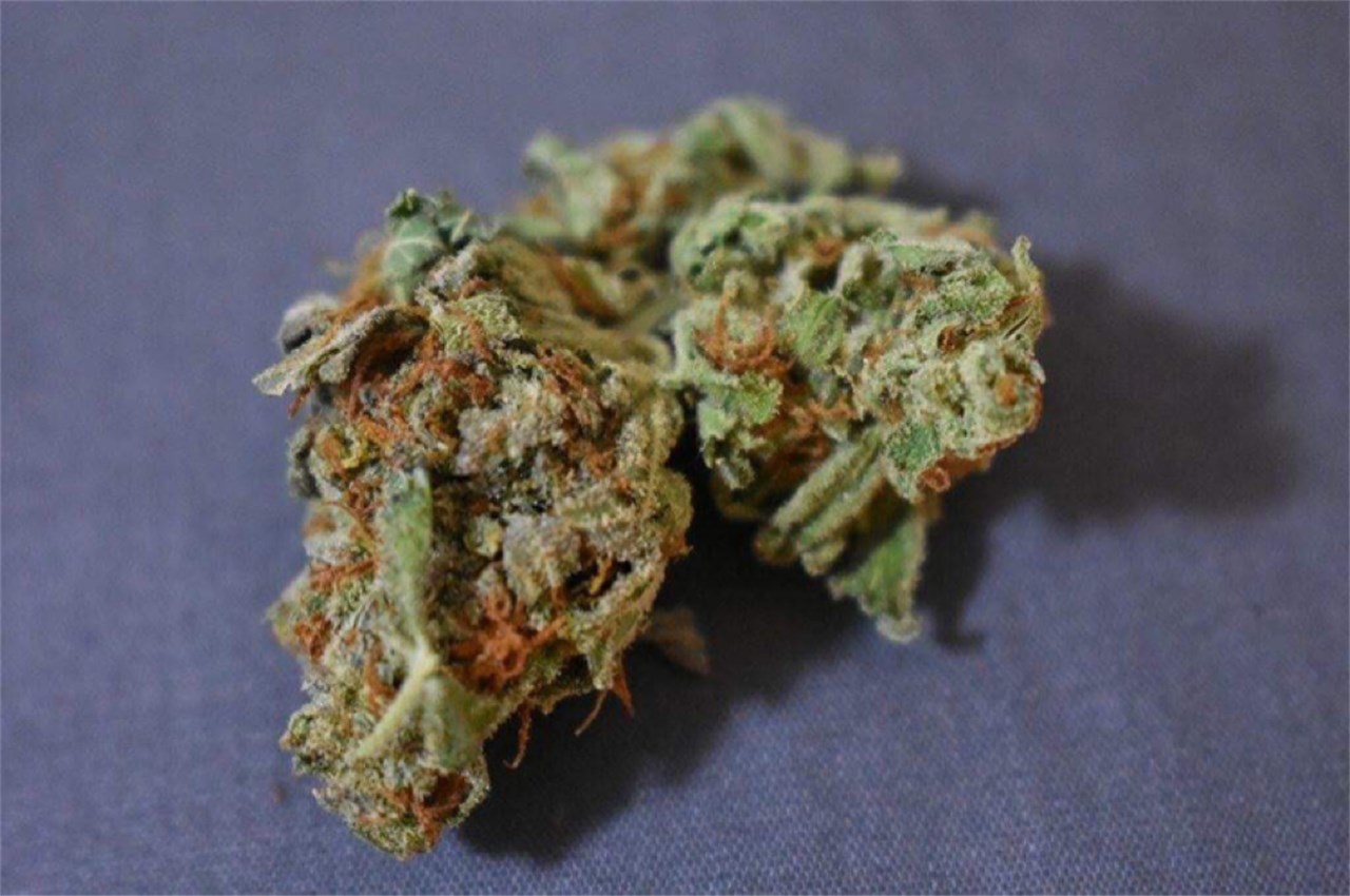 Foto de la variedad Flowerbomb Kush