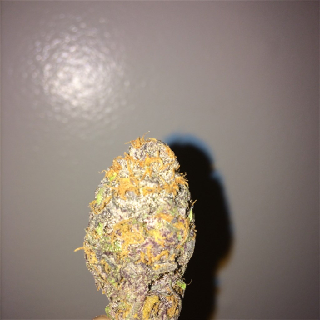 Foto de la variedad Fruit Loop Haze
