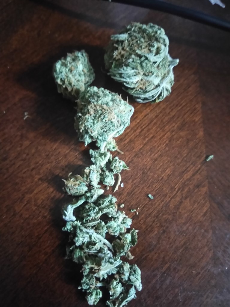 Foto de la variedad Fruity Widow