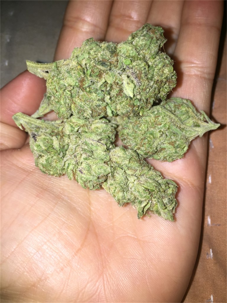 Foto de la variedad Funfetti