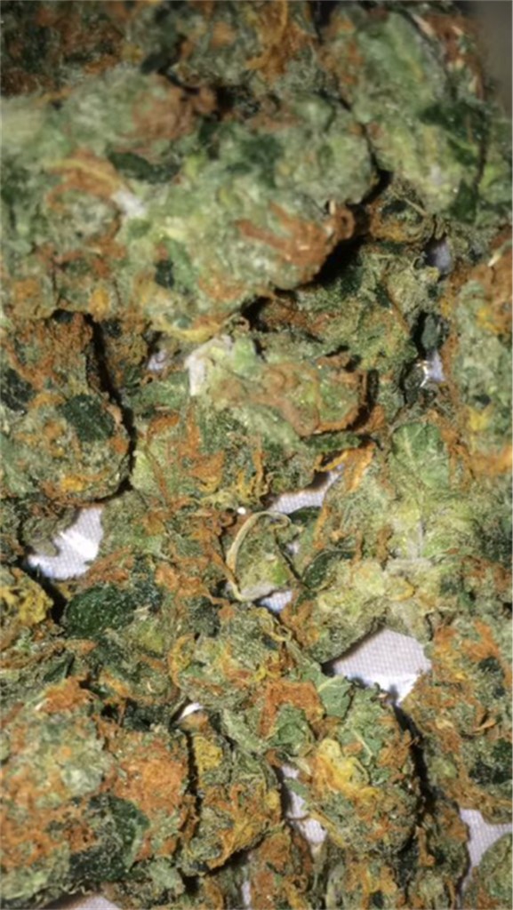 Funky Monkey